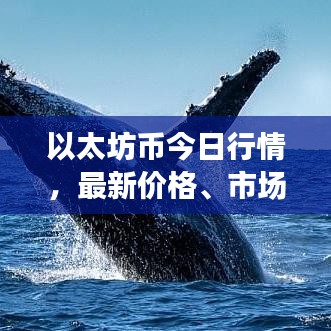 以太坊币今日行情，最新价格、市场走势与投资者情绪深度解析