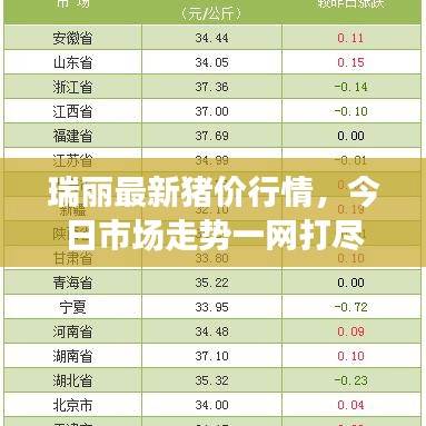 瑞丽最新猪价行情，今日市场走势一网打尽
