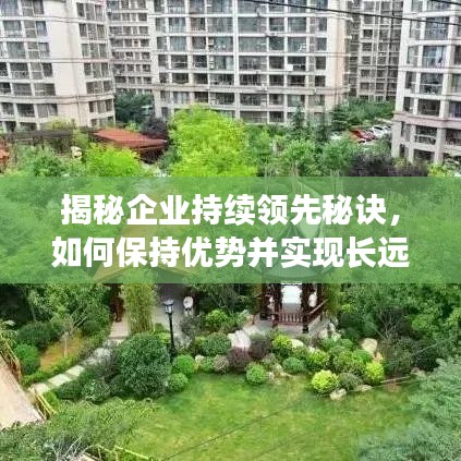 揭秘企业持续领先秘诀，如何保持优势并实现长远发展