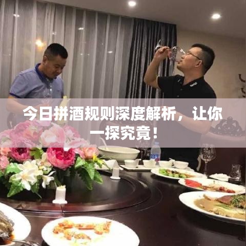 今日拼酒规则深度解析，让你一探究竟！