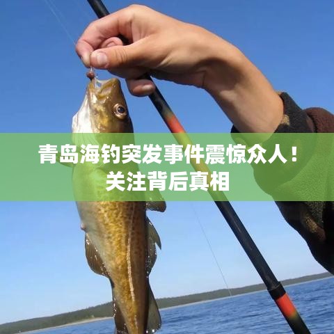 青岛海钓突发事件震惊众人！关注背后真相
