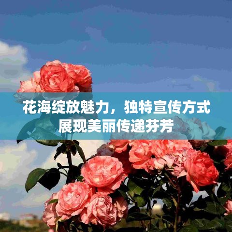 花海绽放魅力，独特宣传方式展现美丽传递芬芳