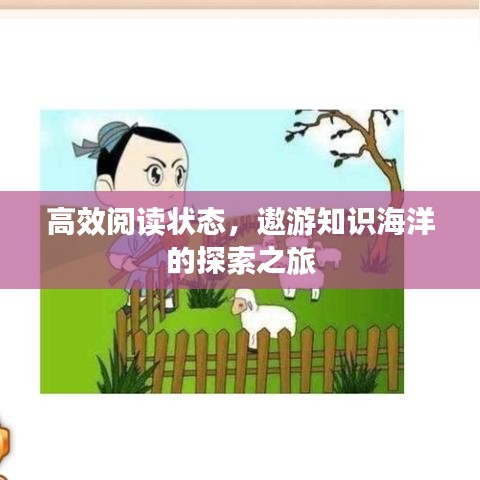 高效阅读状态，遨游知识海洋的探索之旅
