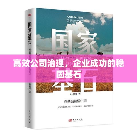 高效公司治理，企业成功的稳固基石