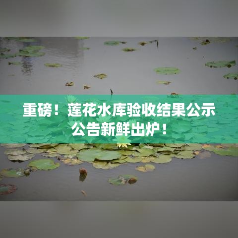 重磅！莲花水库验收结果公示公告新鲜出炉！