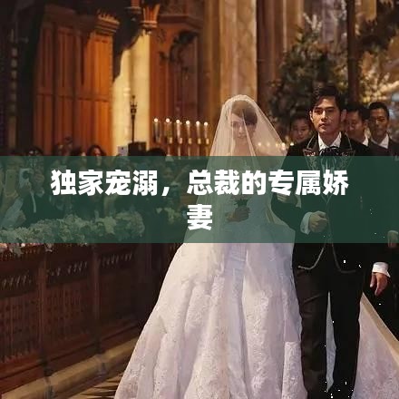 独家宠溺，总裁的专属娇妻