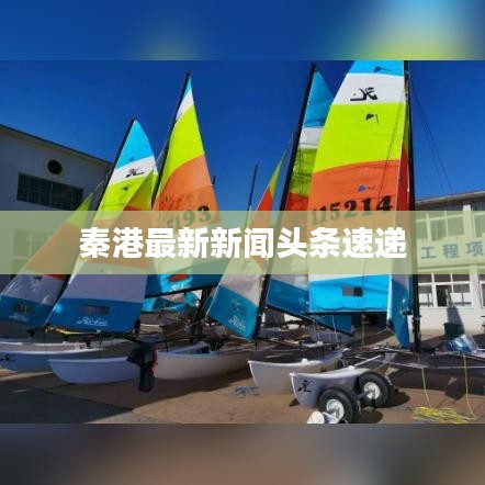 秦港最新新闻头条速递