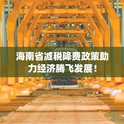 海南省减税降费政策助力经济腾飞发展！