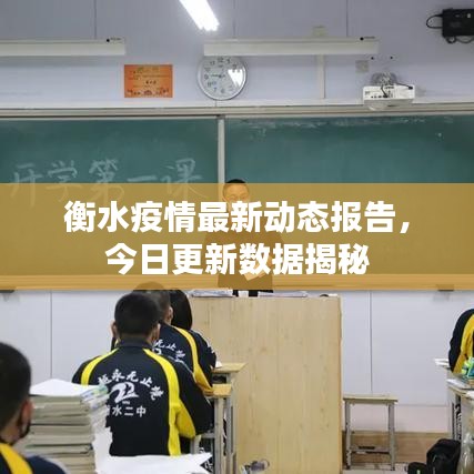 衡水疫情最新动态报告，今日更新数据揭秘