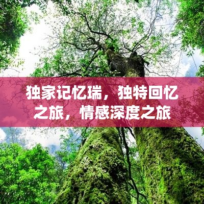 独家记忆瑞，独特回忆之旅，情感深度之旅