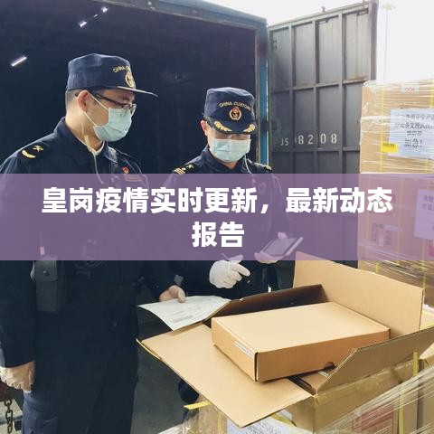 皇岗疫情实时更新，最新动态报告