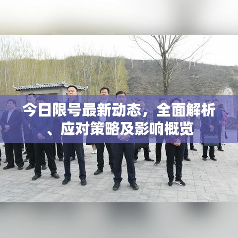今日限号最新动态，全面解析、应对策略及影响概览