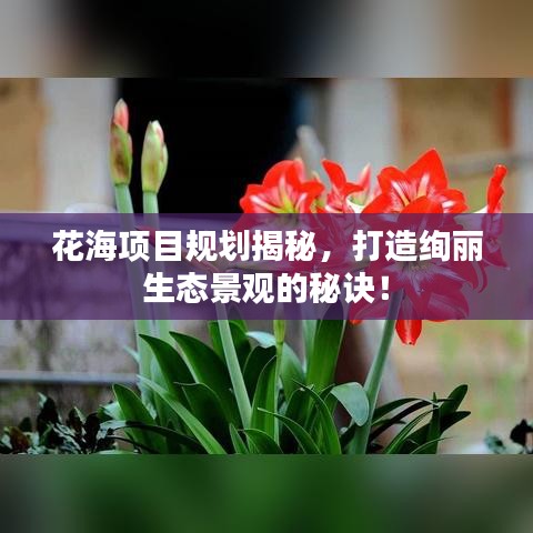 花海项目规划揭秘，打造绚丽生态景观的秘诀！
