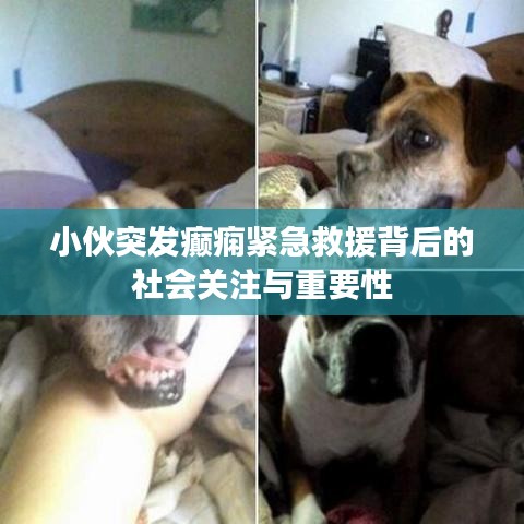 小伙突发癫痫紧急救援背后的社会关注与重要性