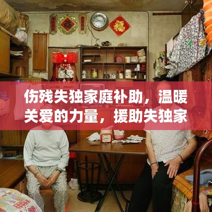 伤残失独家庭补助，温暖关爱的力量，援助失独家庭前行