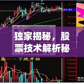 独家揭秘，股票技术解析秘籍