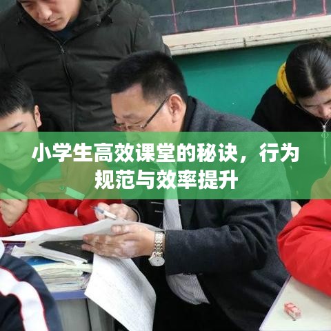 小学生高效课堂的秘诀，行为规范与效率提升