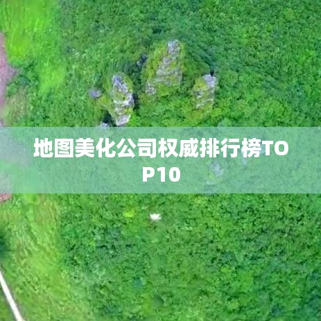 地图美化公司权威排行榜TOP10