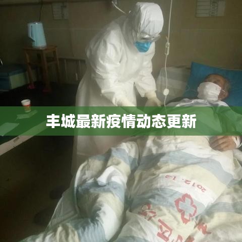丰城最新疫情动态更新