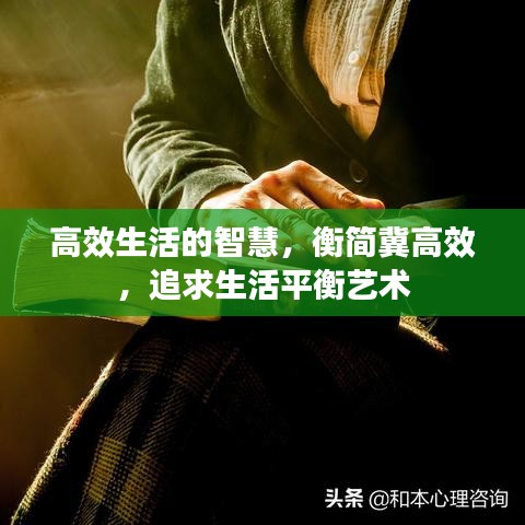 高效生活的智慧，衡简冀高效，追求生活平衡艺术