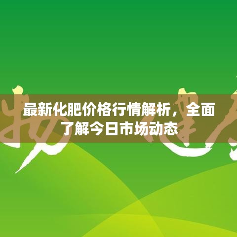 最新化肥价格行情解析，全面了解今日市场动态