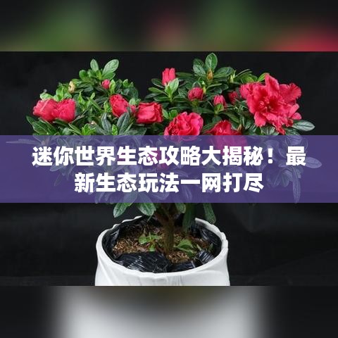 2025年6月14日