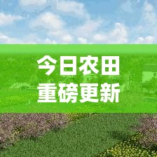 今日农田重磅更新，最新消息一览