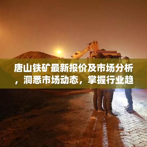 唐山铁矿最新报价及市场分析，洞悉市场动态，掌握行业趋势