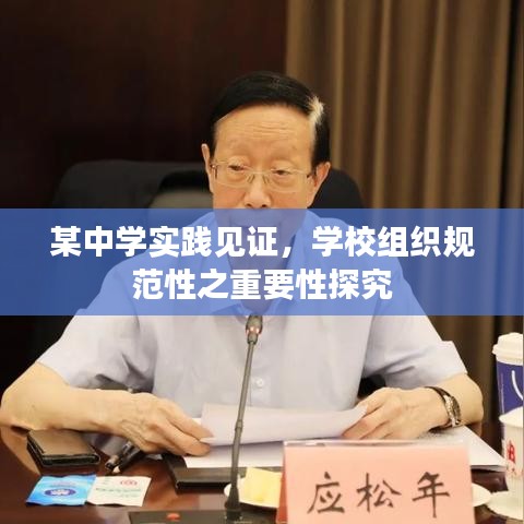 某中学实践见证，学校组织规范性之重要性探究