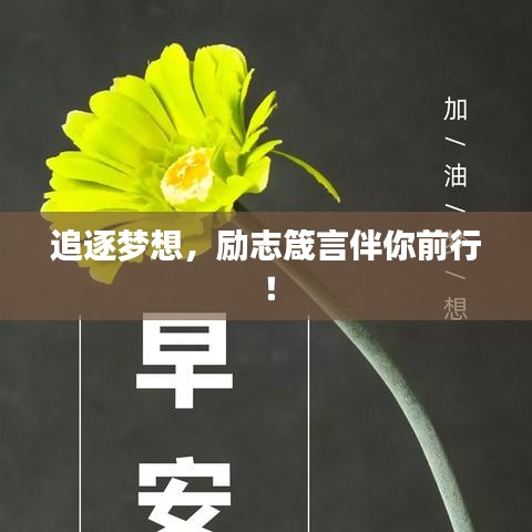 追逐梦想，励志箴言伴你前行！