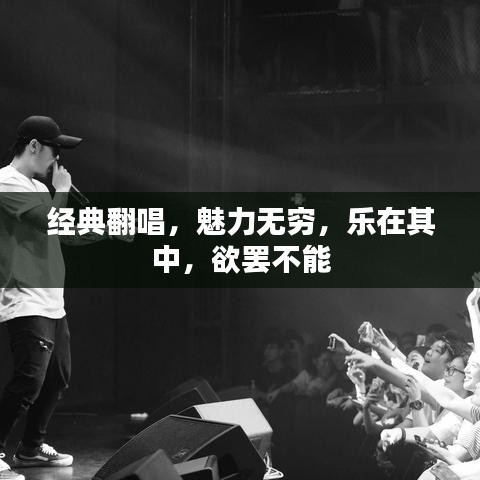 经典翻唱，魅力无穷，乐在其中，欲罢不能