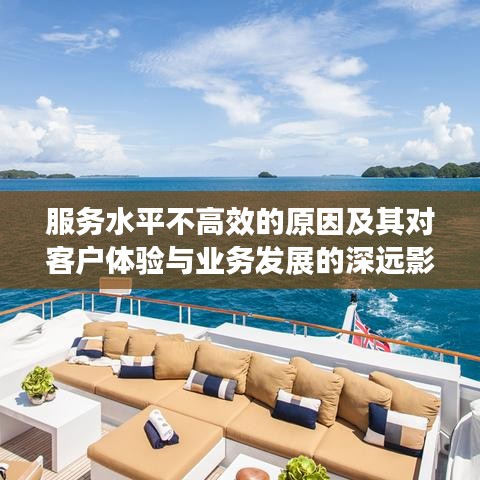 服务水平不高效的原因及其对客户体验与业务发展的深远影响