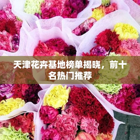 天津花卉基地榜单揭晓，前十名热门推荐