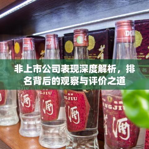 非上市公司表现深度解析，排名背后的观察与评价之道