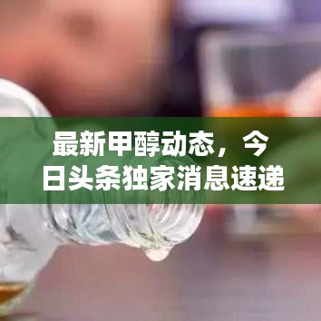 最新甲醇动态，今日头条独家消息速递