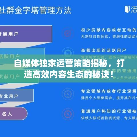 自媒体独家运营策略揭秘，打造高效内容生态的秘诀！
