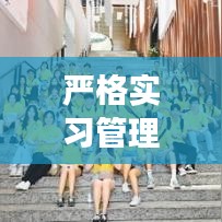 严格实习管理，打造卓越实习体验，助力学子职场腾飞
