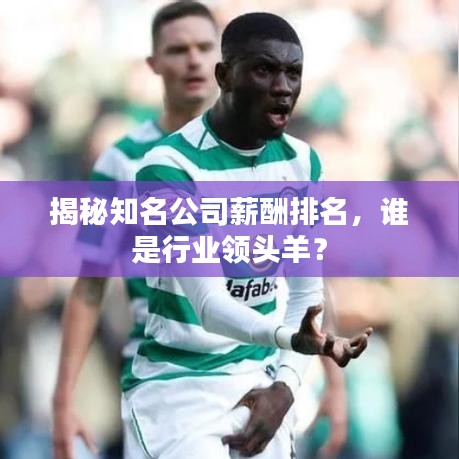 揭秘知名公司薪酬排名，谁是行业领头羊？