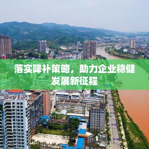落实降补策略，助力企业稳健发展新征程