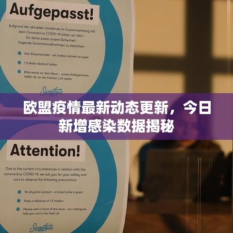 欧盟疫情最新动态更新，今日新增感染数据揭秘