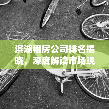 滨湖租房公司排名揭晓，深度解读市场现状，为你寻找最佳租赁伙伴！