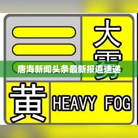 唐海新闻头条最新报道速递