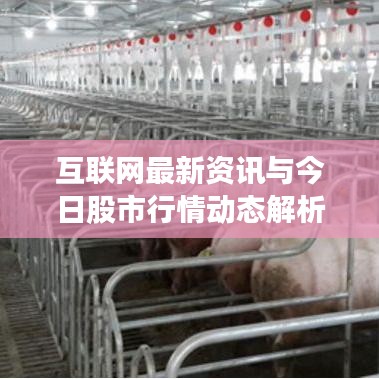 互联网最新资讯与今日股市行情动态解析