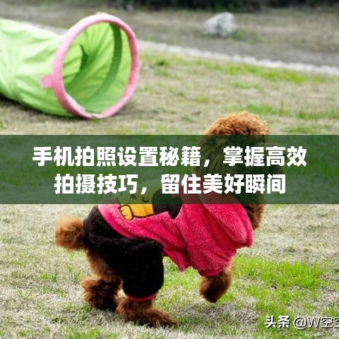 手机拍照设置秘籍，掌握高效拍摄技巧，留住美好瞬间