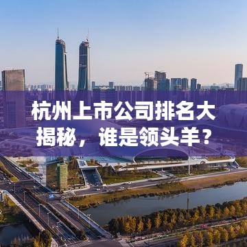 杭州上市公司排名大揭秘，谁是领头羊？