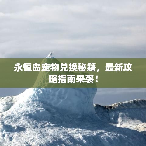 永恒岛宠物兑换秘籍，最新攻略指南来袭！
