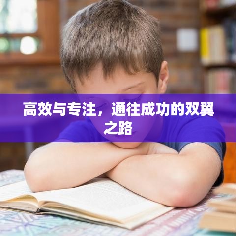 高效与专注，通往成功的双翼之路