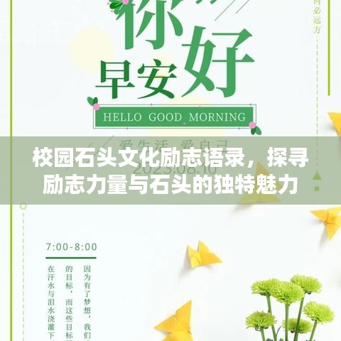 校园石头文化励志语录，探寻励志力量与石头的独特魅力