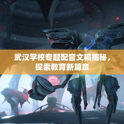 武汉学校专题配音文稿揭秘，探索教育新篇章