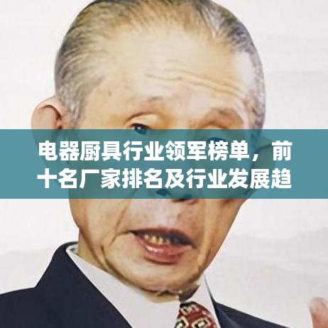 电器厨具行业领军榜单，前十名厂家排名及行业发展趋势解析